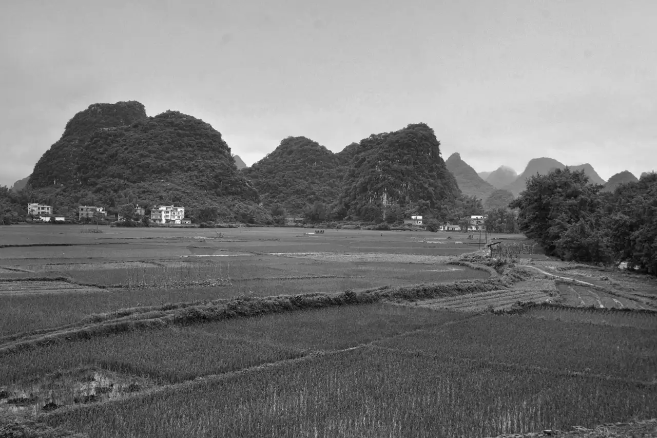 2024年企业组织变革趋势下绩效体系优化方案设计