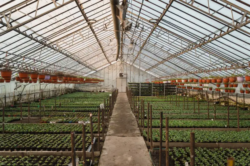 中火高科战略规划咨询模型在不同发展阶段企业的应用解析