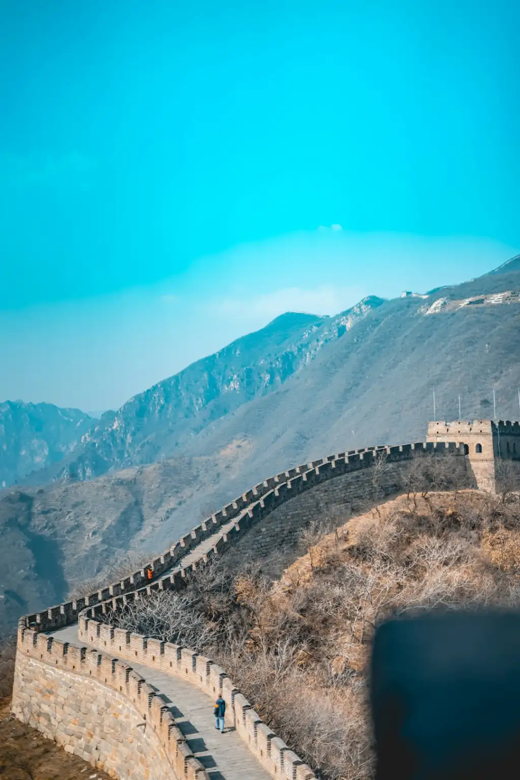 战略规划行业最新政策调整对企业组织变革的影响分析