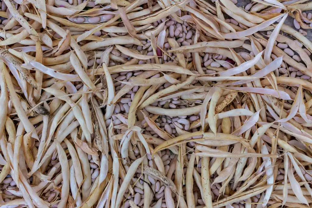 战略规划行业最新政策解读：企业组织变革的合规路径分析