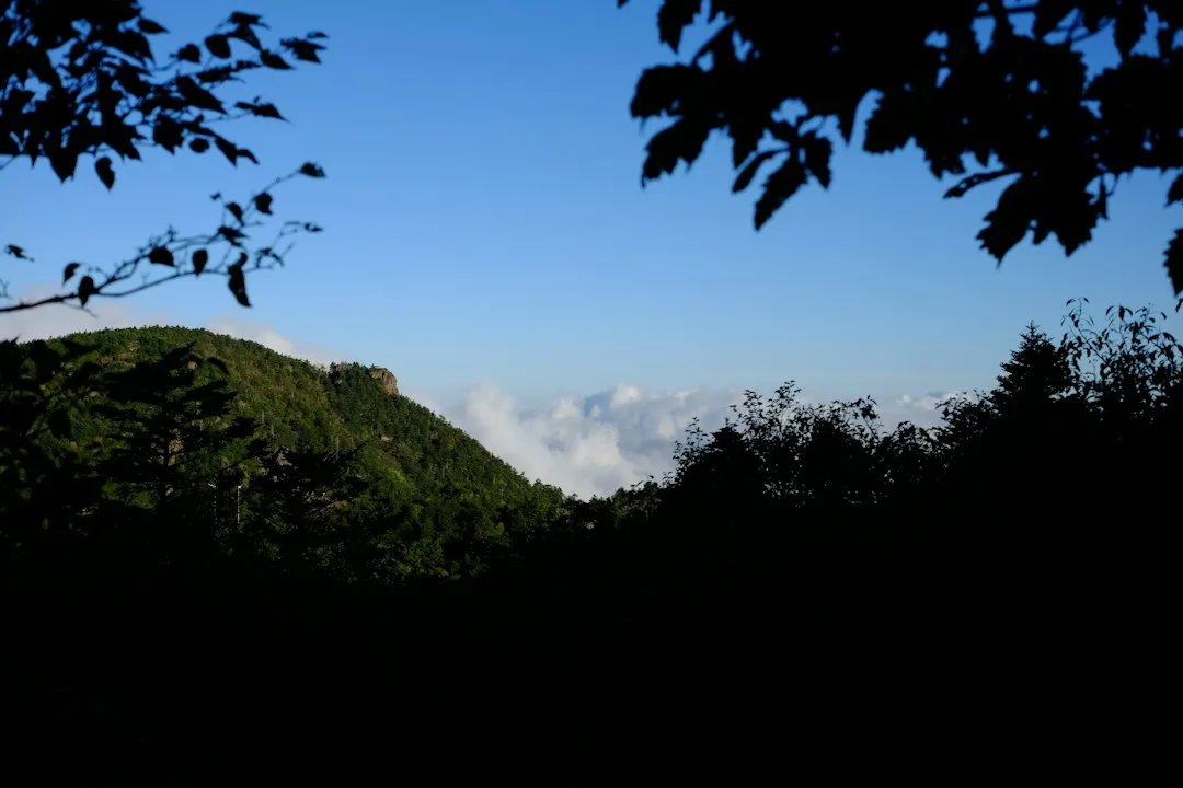 中火高科战略规划咨询的落地方法与实施路径解析